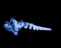 Blue Smoke