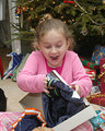 Christmas Joy