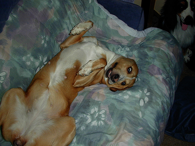 lounging.jpg