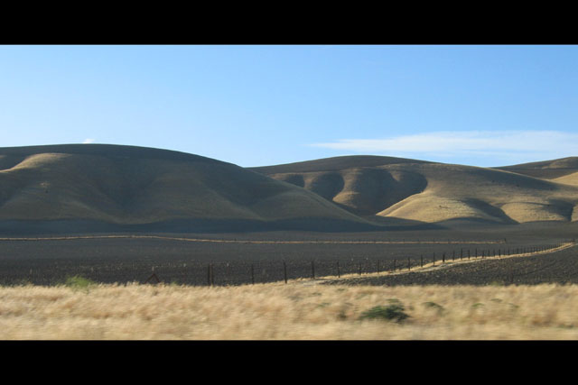 Lost Hills