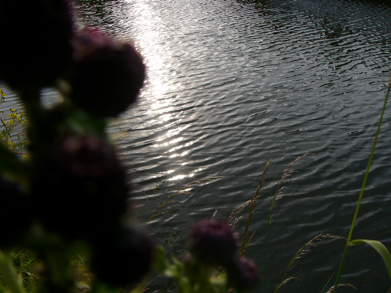 purplewater.jpg
