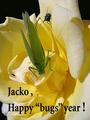 Jacko.jpg