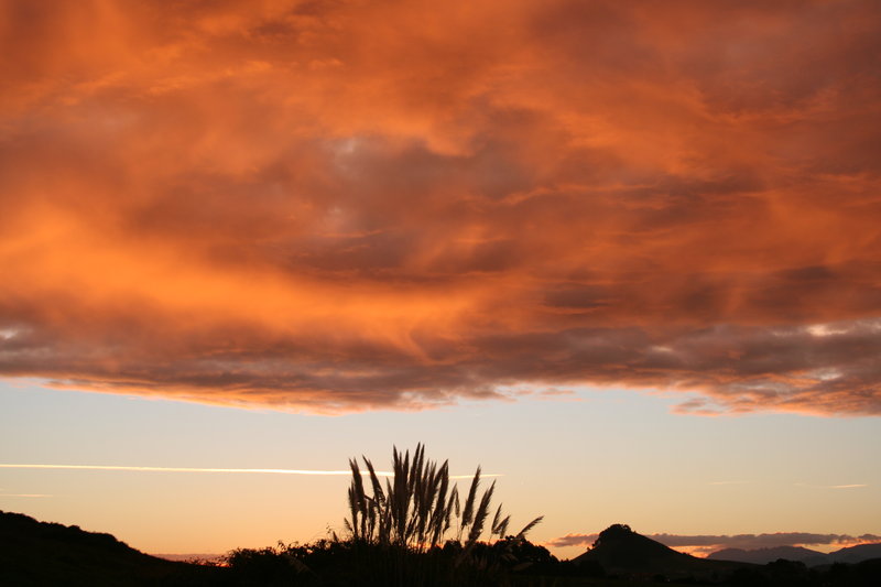 Early morning colors