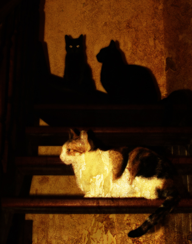 Senuf, Mitmit & Sethy on the stairs