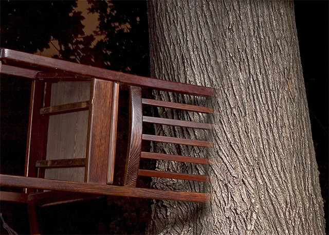 wood3.jpg