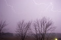 Light 2