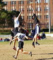Big Men Fly