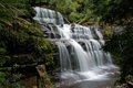 Liffey-Falls.jpg