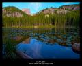 Lily Lake