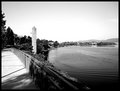 IMG_8042W.jpg