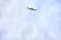 The Sky Above