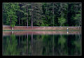 Lone Fisher