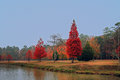 Fall in the Mist