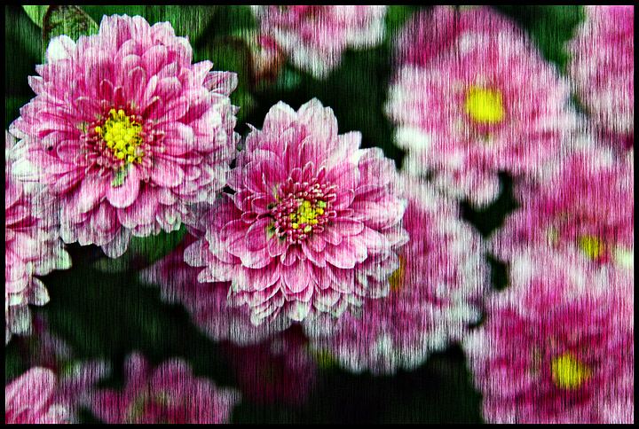 Beauty Between the Line