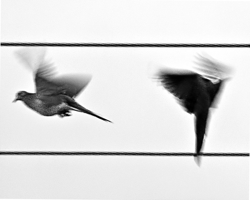 Air Dance