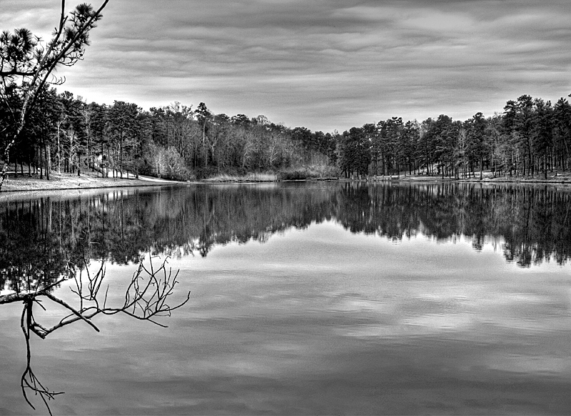 The Lake