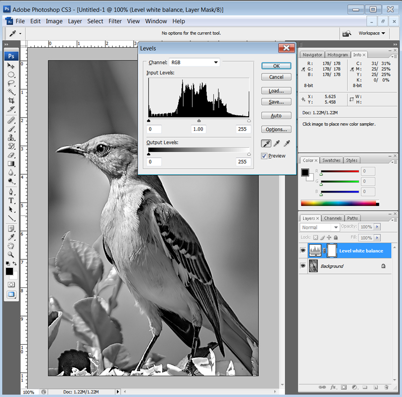 PS-Bird-Photo-Settings