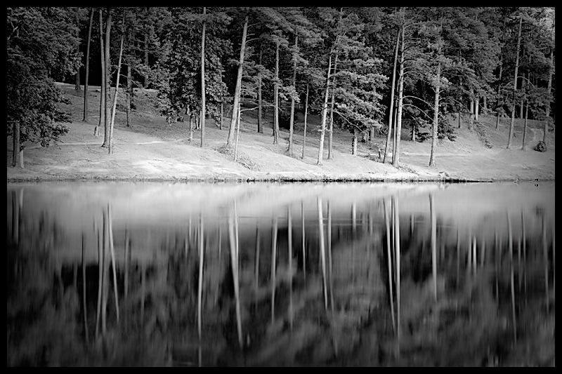 Evening Light at the Lake