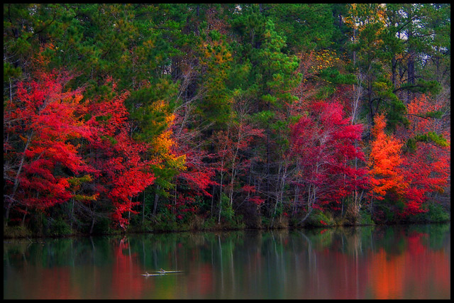 Autumn Reflection (Print Version)