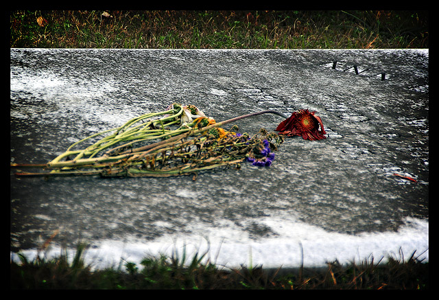 Bereavement of Beauty
