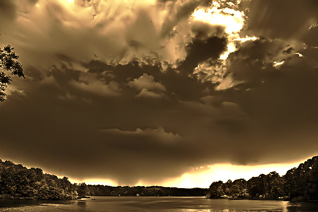 Summer Rain