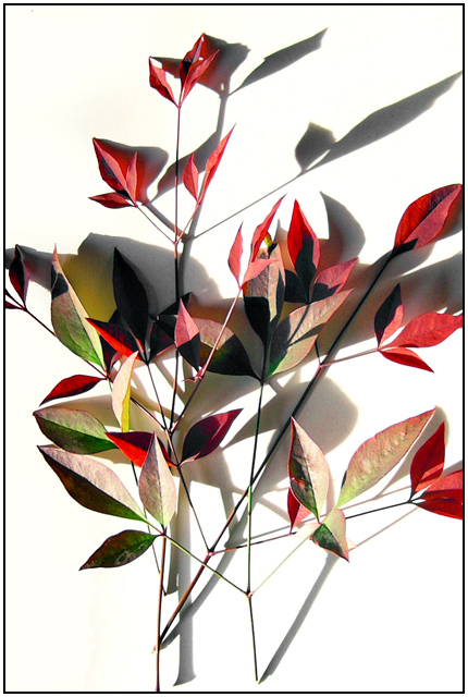 Seasons