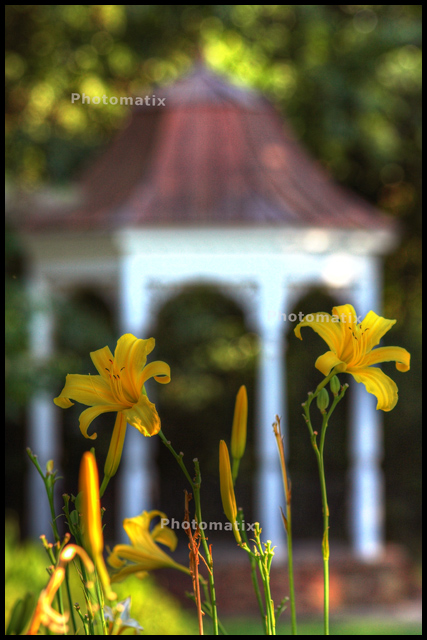 Boken HDR