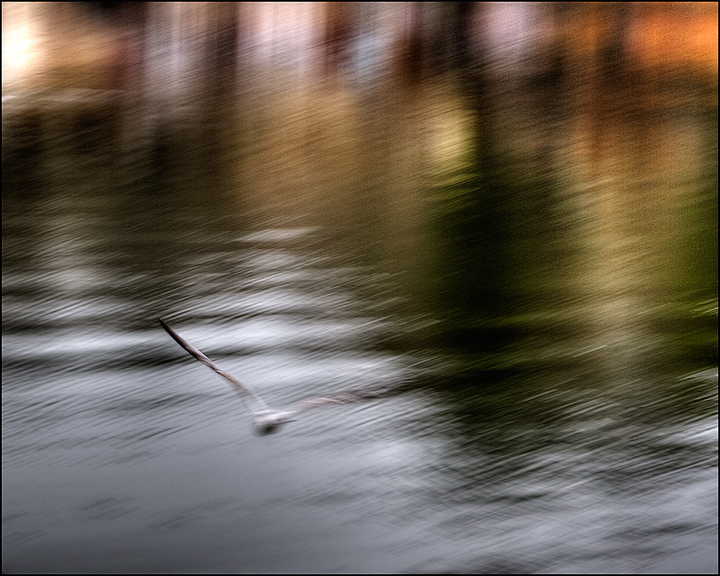 One with the Water