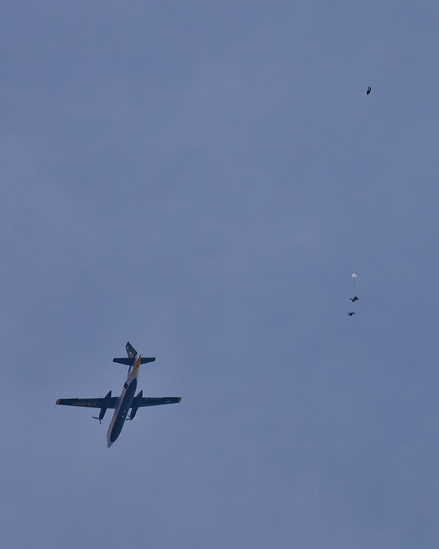 Golden Knights 02