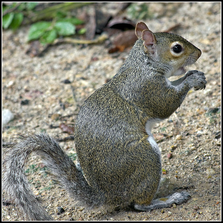 Snack Time