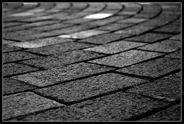 Bricks