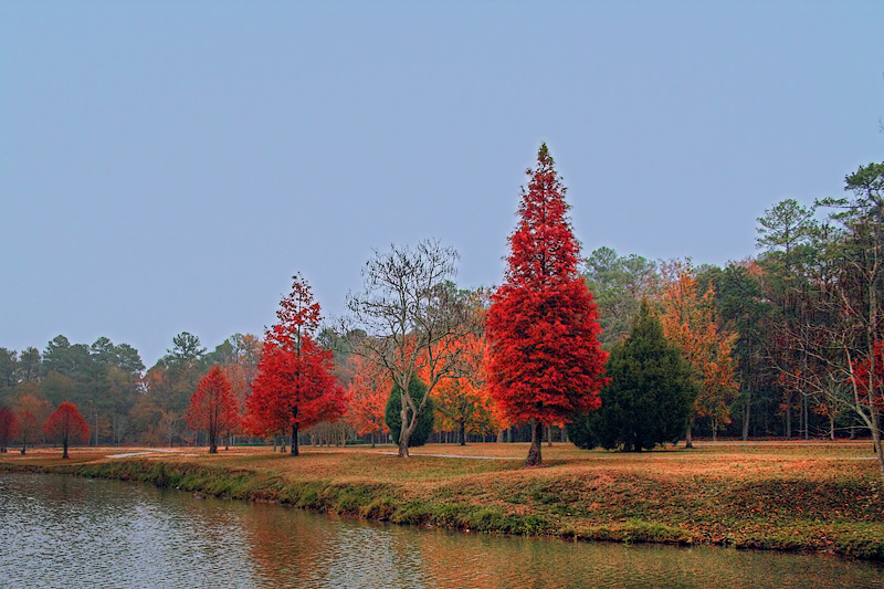 Fall in the Mist
