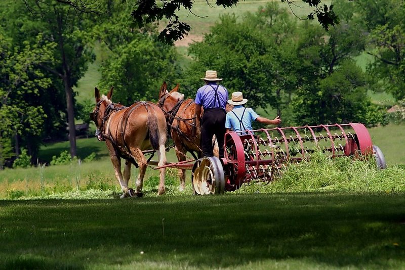 Summer Schooling