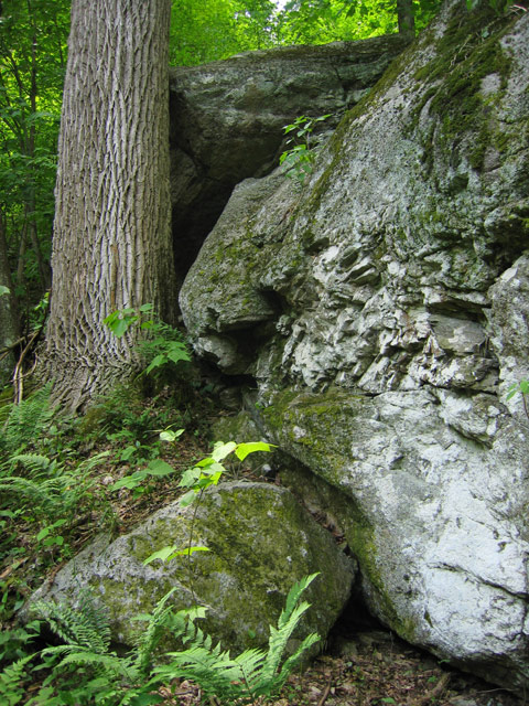 IMG_5841-original.jpg