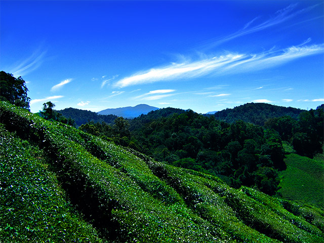 mountain