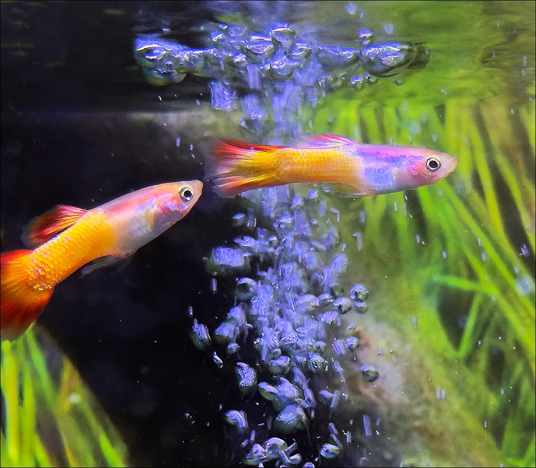 itstheirworldIMG_1788