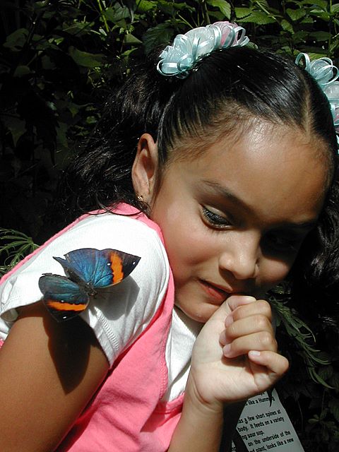 paola.jpg