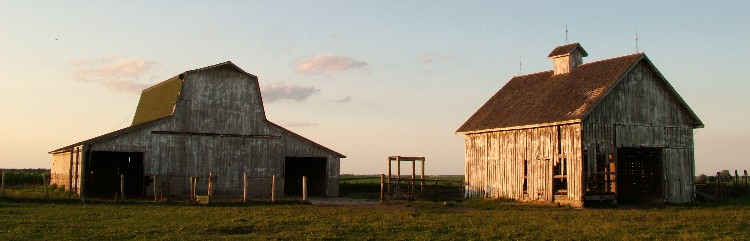 Evening Colors