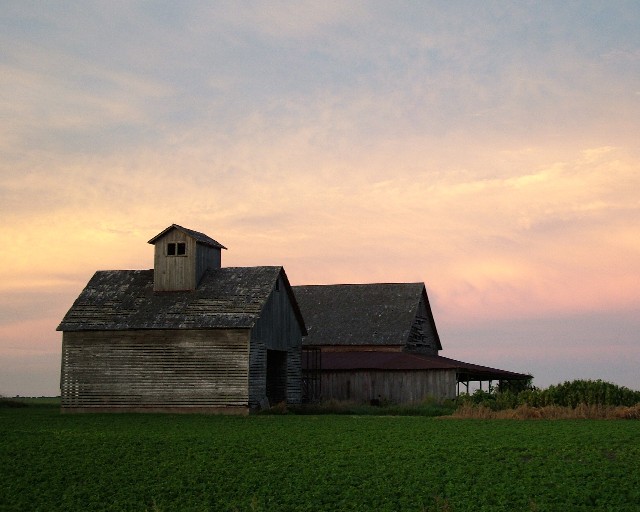 Barns at Sunset