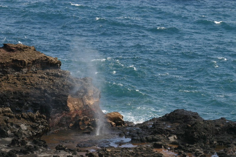 Blowhole