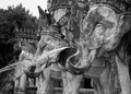 Elephants