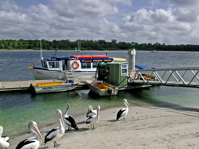 Dolphin-cruise_web.jpg