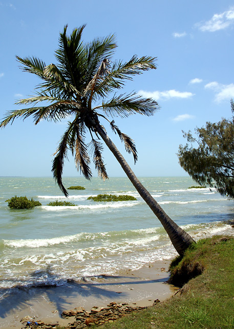 Sea Breeze