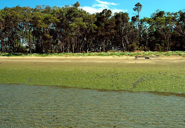 Beach-2_web