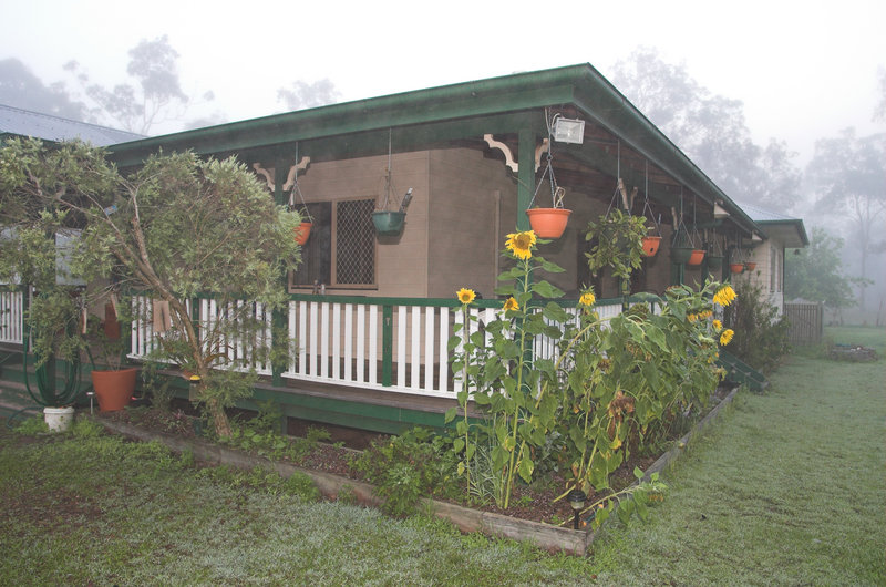 The house.jpg