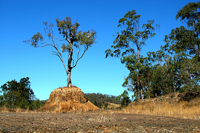 Misguided conservation