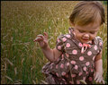 Tiptoe Through the Wheat Field