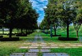 Perspective Path