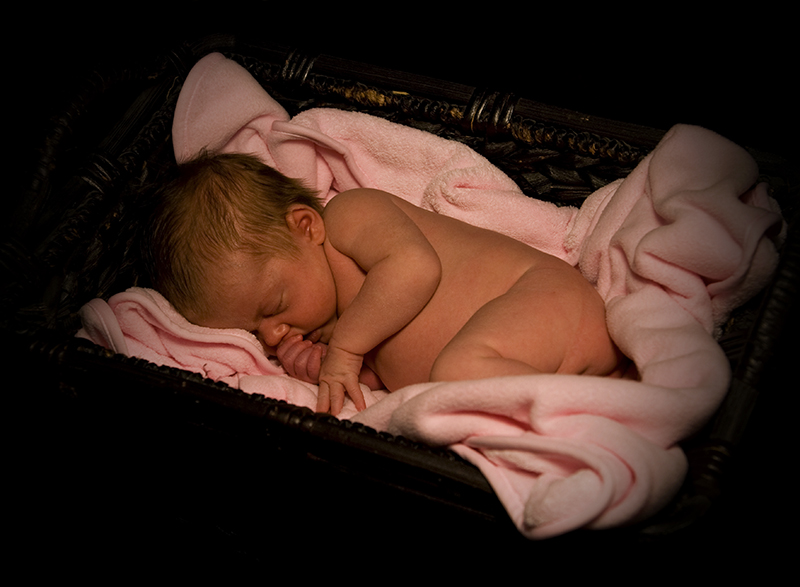 Audrey in Basket