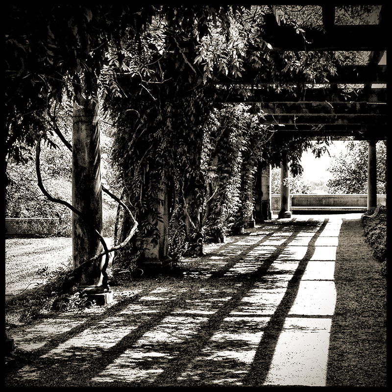Following Shadows